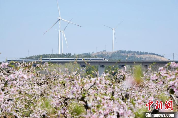 昔日“采石村”吃上生态旅游饭 江苏铜山万亩桃花迎客来