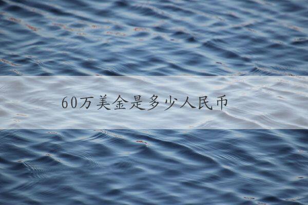 60万美金是多少人民币 60万美金是多少人民币，应该如何兑换